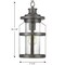 Progress Lighting Haslett Collection One-Light Hanging Lantern P550031-103 - alternate 5